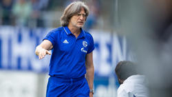 Norbert Elgert arbeitet seit Jahren erfolgreich beim FC Schalke 04
