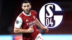 Sead Kolasinac spielt bis Sommer 2020 wieder für den FC Schalke 04