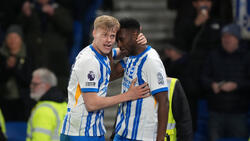 Brighton and Hove Albion setzt sich in der Premier League durch