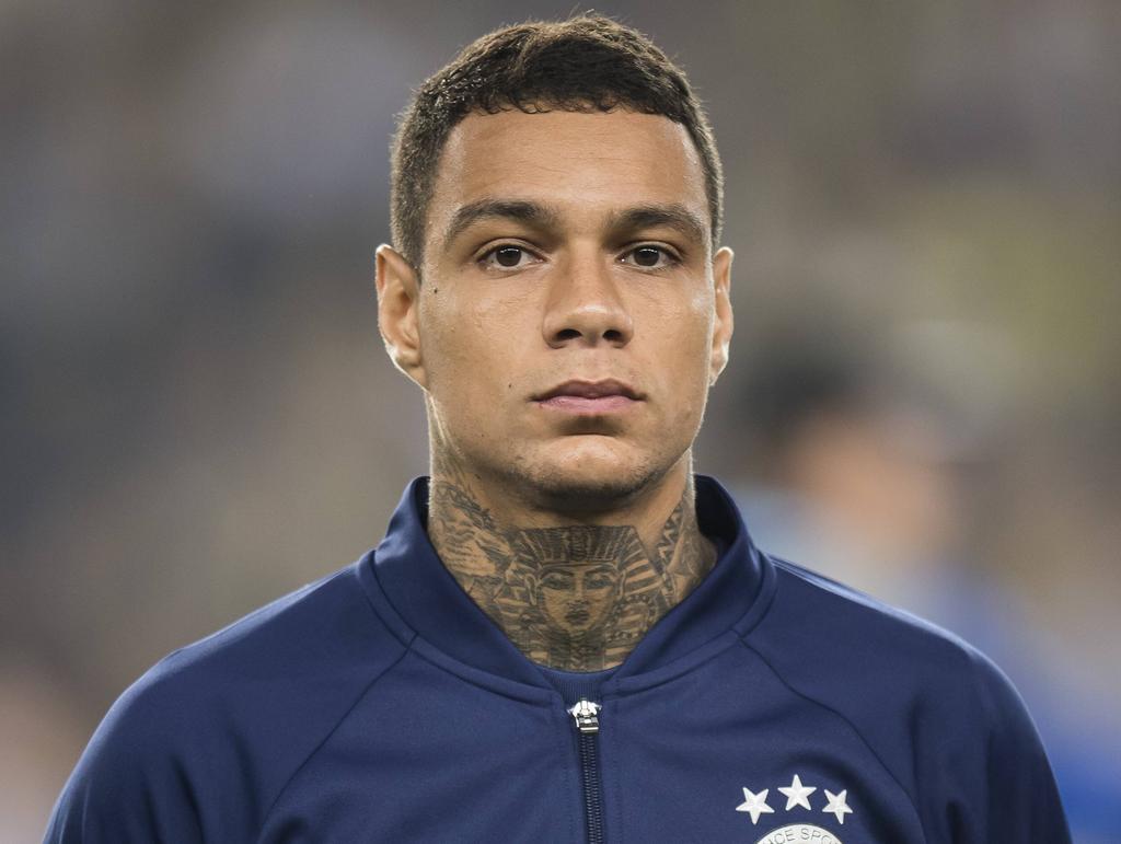 Gregory Van Der Wiel Player Profile Transfermarkt