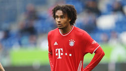 Der 1. FC Köln hatte Interesse an Joshua Zirkzee vom FC Bayern