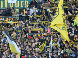 Wie geht es für Alemannia Aachen weiter?