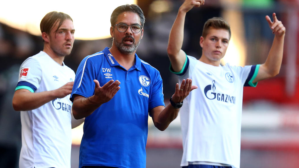 Geht der FC Schalke 04 ohne weitere Neuzugänge in die Saison? Geht der FC Schalke 04 ohne weitere Neuzugänge in die Saison?