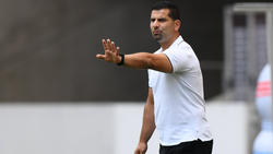 Dimitrios Grammozis wird neuer Trainer des FC Schalke 04