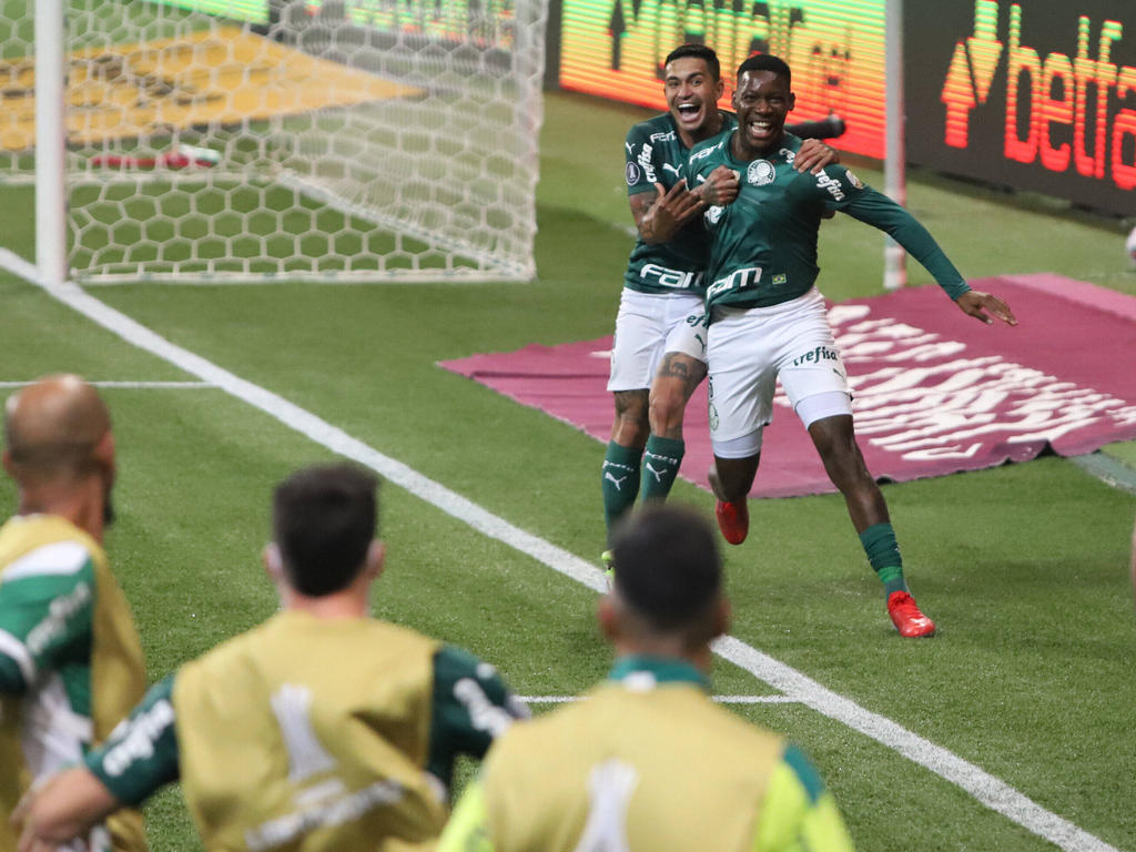 Palmeiras sueña con levantar la Libertadores.