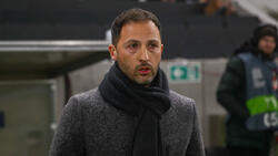 Belgiens Nationaltrainer Domenico Tedesco steht massiv unter Druck