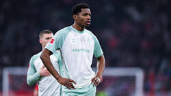 Skelly Alvero ist bislang ein großes Transfer-Missverständnis bei Werder Bremen