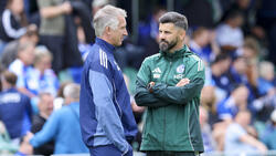 Frank Baumann (l.) und Miron Muslic sind die neuen Gesichter des FC Schalke 04