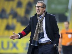 Georges Leekens ist der neue Trainer der algerischen Nationalmannschaft