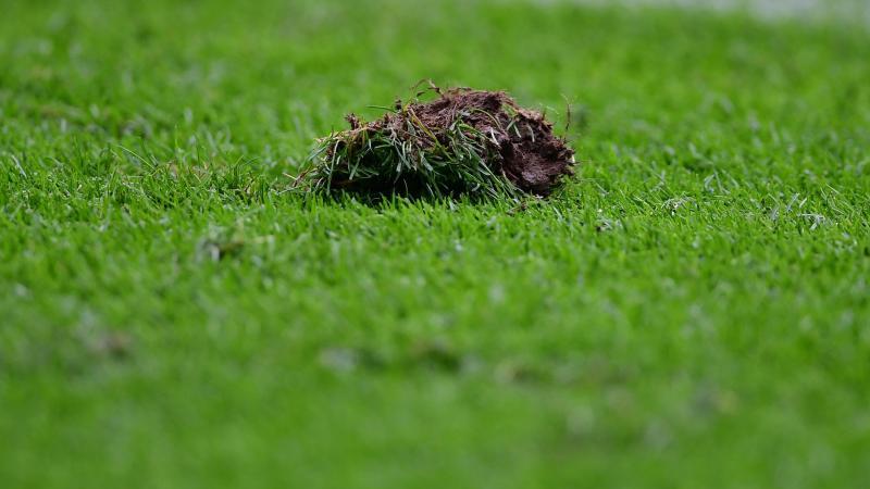 Rasen-Probleme bei FC Schalke 04 und Co.