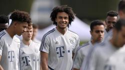 Joshua Zirkzee stand kurz vor einem Wechsel zum FC Everton