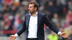 Markus Weinzierl kämpft mit dem VfB Stuttgart gegen den Abstieg