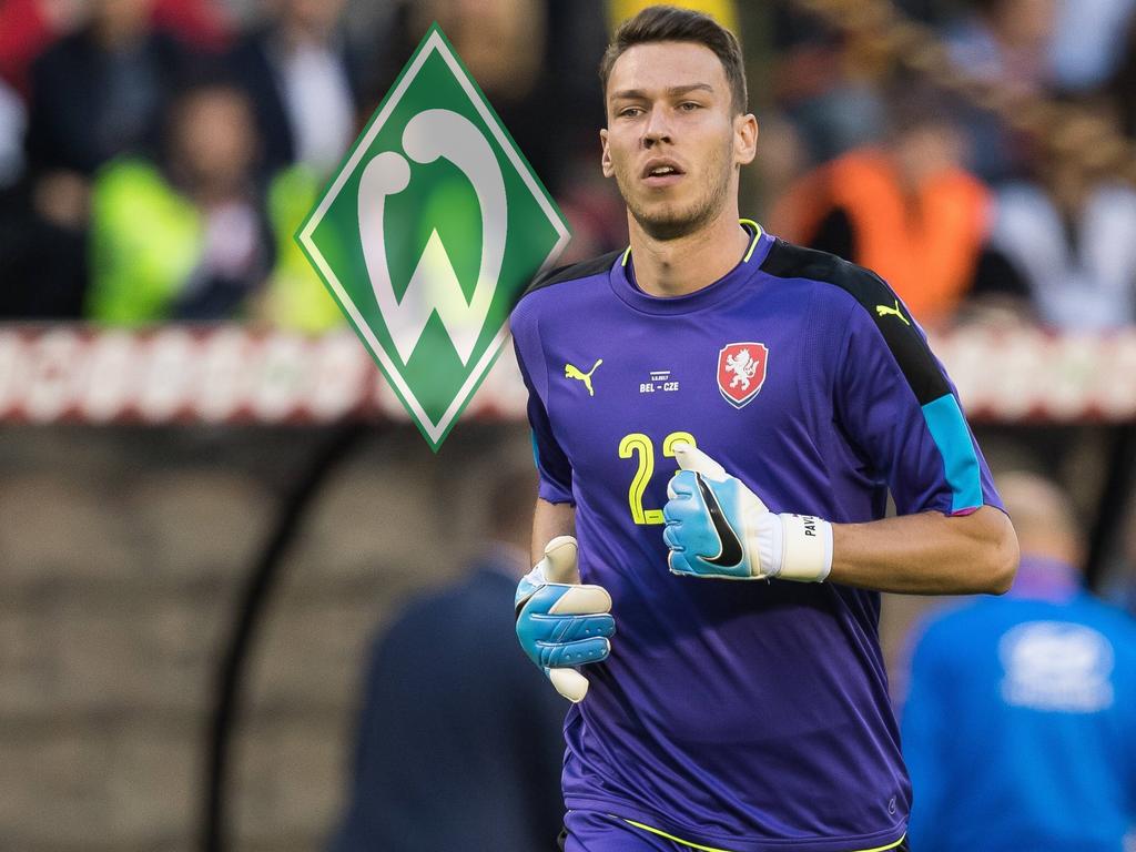 Werder hat Jiří Pavlenka verpflichtet