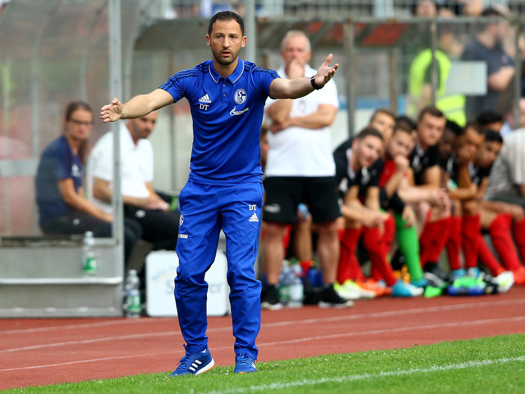 Domenico Tedesco hinterlässt auf Schalke bisher einen hervorragenden Eindruck