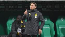 Auf Edin Terzic ruhen die Hoffnungen des BVB