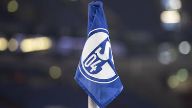 Der FC Schalke 04 plant gegen den VfL Wolfsburg eine Kampagne gegen Ausgrenzung