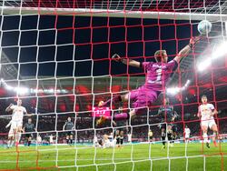 Chancenlos: Bayer-Torwart Lukas Hradecky kann das 2:2 nicht verhindern
