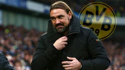 Beim BVB als Nachfolger für Lucien Favre gehandelt: Norwich-Coach Daniel Farke
