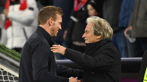 Schätzen sich: Bayern Münchens Julian Nagelsmann und Benfica-Coach Jorge Jesus