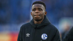 Rabbi Matondo spielt seit Januar 2019 für den FC Schalke 04