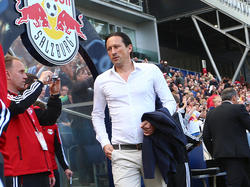 Roger Schmidt heuert bei Bayer Leverkusen an