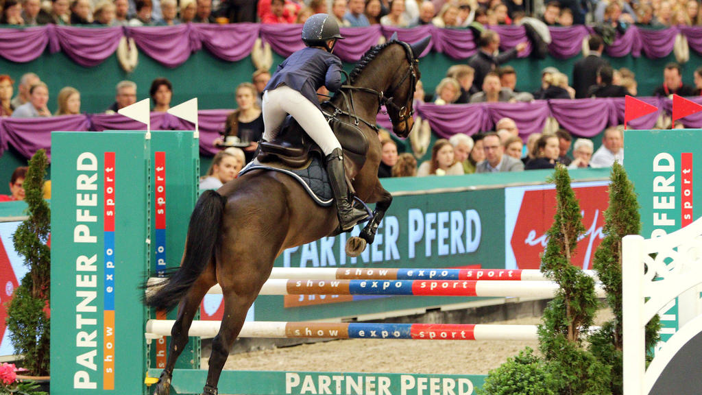 Der Reitsport-Weltverband FEI hat Tricksereien bei der Olympia-Quali aufgedeckt Der Reitsport-Weltverband FEI hat Tricksereien bei der Olympia-Quali aufgedeckt