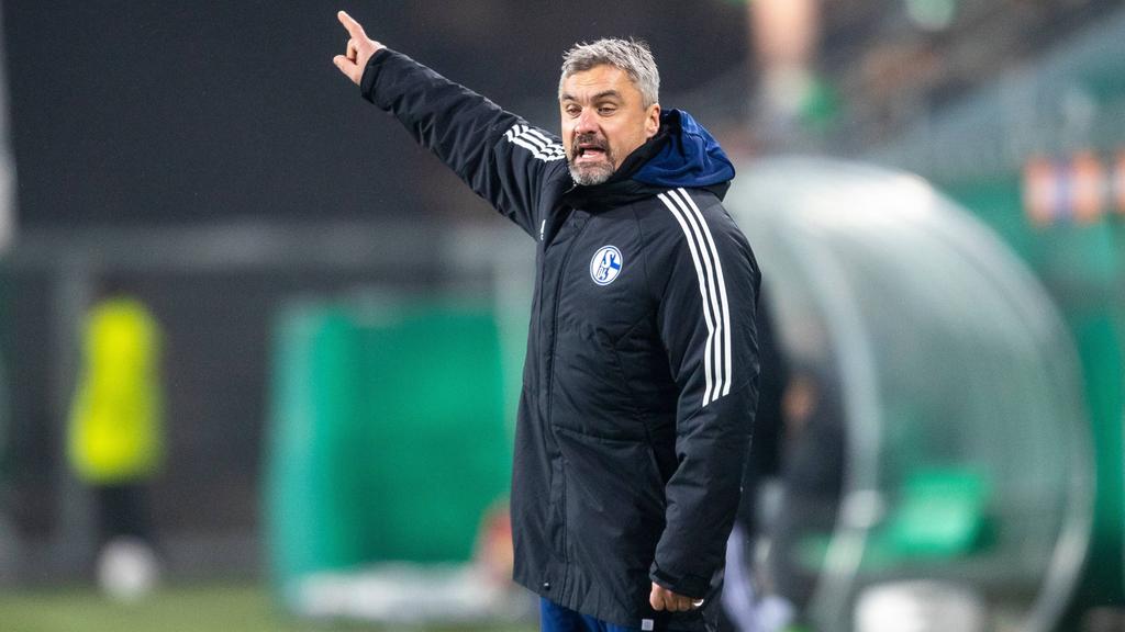 Seit Ende Oktober ist Thomas Reis Chefcoach beim FC Schalke 04