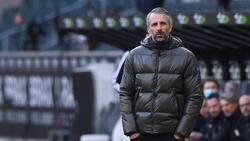 Marco Rose steht mit Gladbach unter Druck