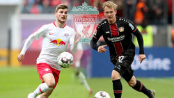 Der FC Liverpool hat kein Interesse mehr an Timo Werner und Julian Brandt