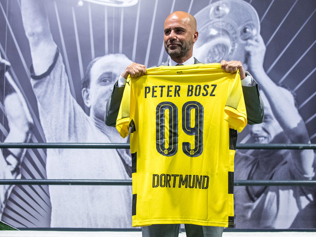 Peter Bosz bei seiner Vorstellung in Dortmund Peter Bosz bei seiner Vorstellung in Dortmund