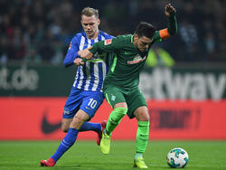 Viel Kampf, wenig Spielkultur: Werder und Hertha trennen sich torlos