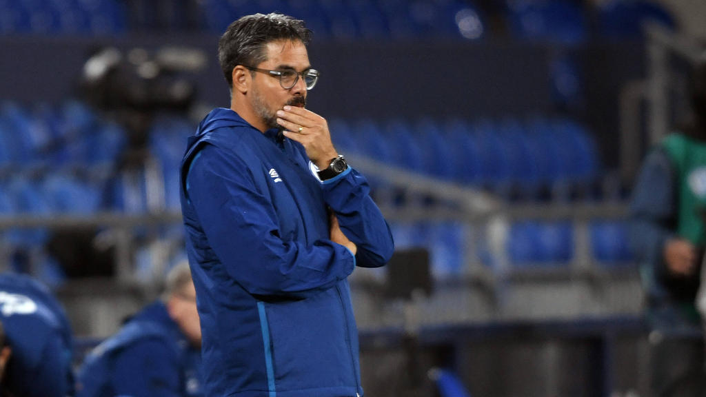David Wagner hat die Krise beim FC Schalke 04 kommen sehen David Wagner hat die Krise beim FC Schalke 04 kommen sehen