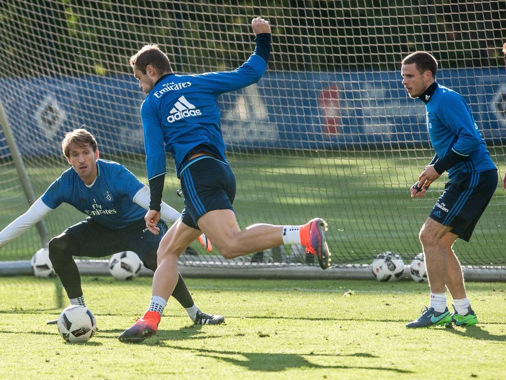 Pierre-Michel Lasogga plagen Adduktorenprobleme Pierre-Michel Lasogga plagen Adduktorenprobleme
