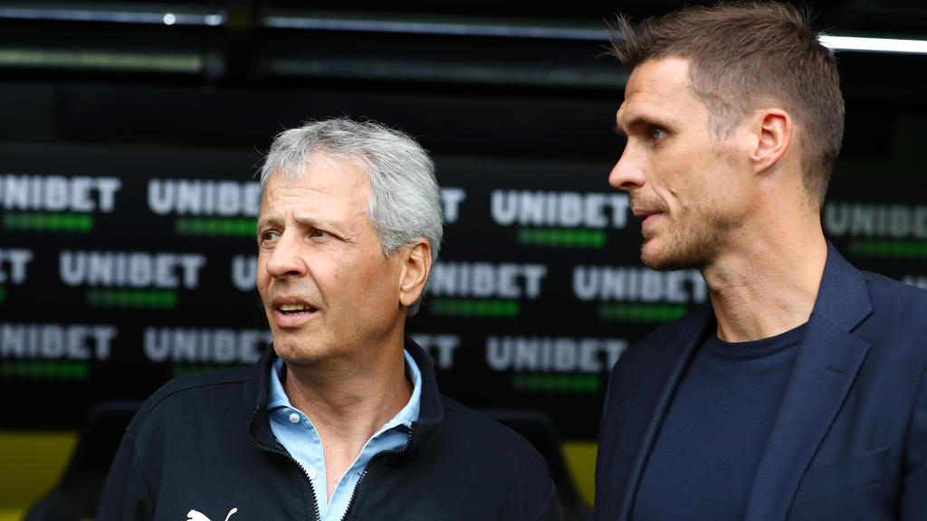Sebastian Kehl (re.) erwartet viel vom BVB Sebastian Kehl (re.) erwartet viel vom BVB