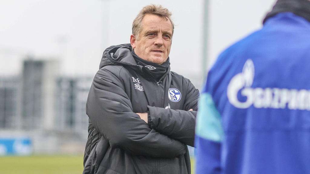Mike Büskens ist neuer Chefcoach des FC Schalke 04