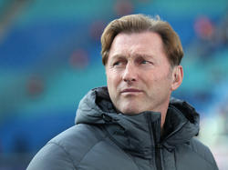 Ralph Hasenhüttl zeigte sich von Schalkes EL-Leistung begeistert