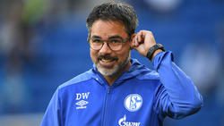 Hofft auf Kontinuität im Trainer-Geschäft: Coach David Wagner vom FC Schalke 04