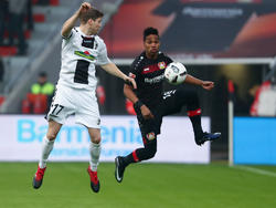 Kein Sieger zwischen Freiburg und Bayer Leverkusen