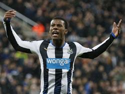 Georginio Wijnaldum juicht na het maken van een doelpunt tegen Manchester United. (12-01-2016)