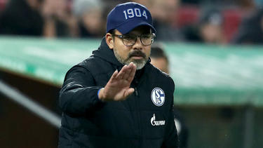 David Wagner ist seit 2019 Cheftrainer des FC Schalke 04