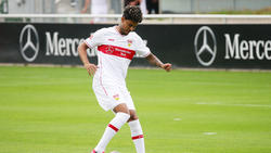 Ailton verlässt den VfB Stuttgart