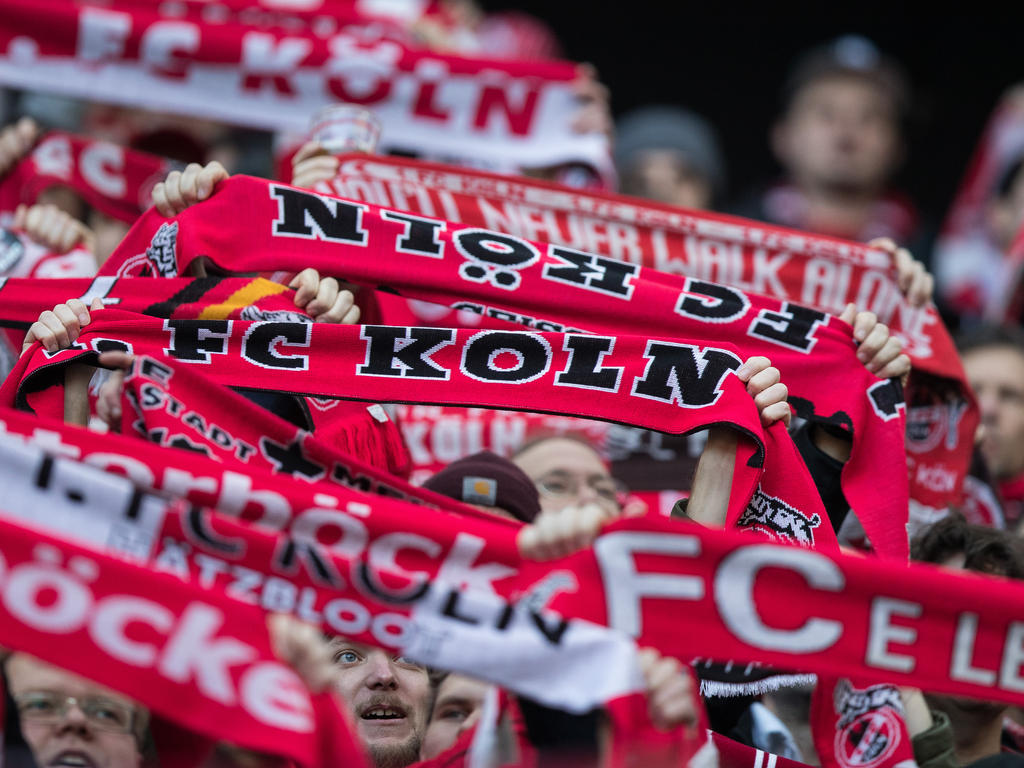 Fans des 1. FC Köln sorgen immer wieder für Ärger