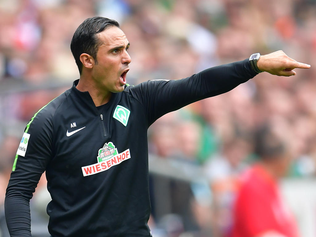 Werders Trainer Alexander Nouri muss laut Frank Baumann erst einmal nicht um seinen Job bangen
