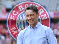 Freut sich auf seinen neuen Job: Niko Kovac