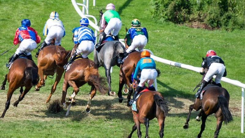 Das Deutsche Galopp-Derby soll am 12. Juli auf der Horner Rennbahn in Hamburg stattfinden Das Deutsche Galopp-Derby soll am 12. Juli auf der Horner Rennbahn in Hamburg stattfinden