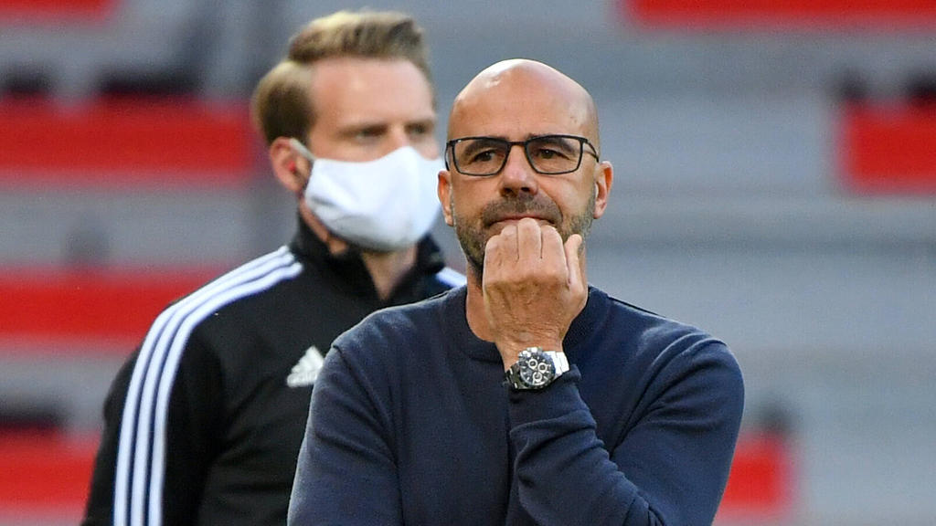 Peter Bosz will durch einen Sieg auf Schalke auf Champions-League-Kurs bleiben