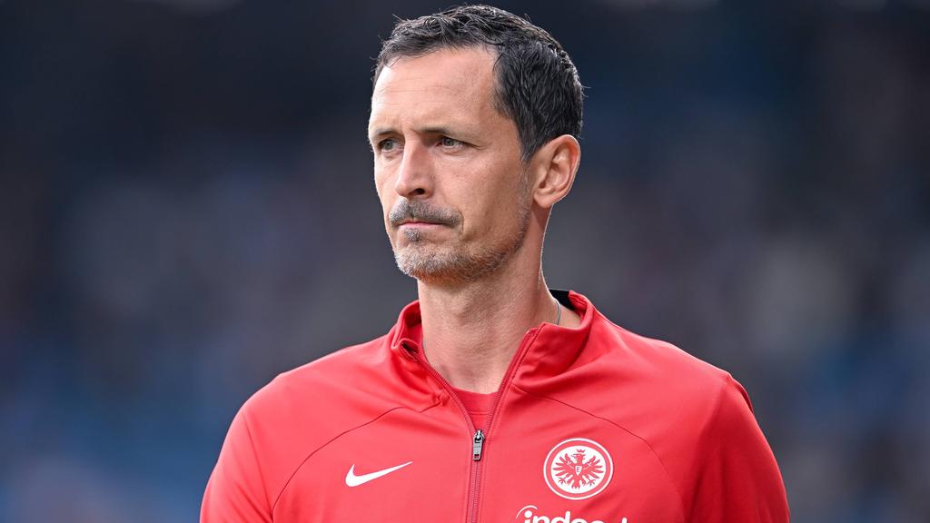 Dino Toppmöller ist seit Sommer Trainer von Eintracht Frankfurt