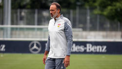 Pellegrino Matarazzo will härtere Disziplin beim VfB Stuttgart durchsetzen