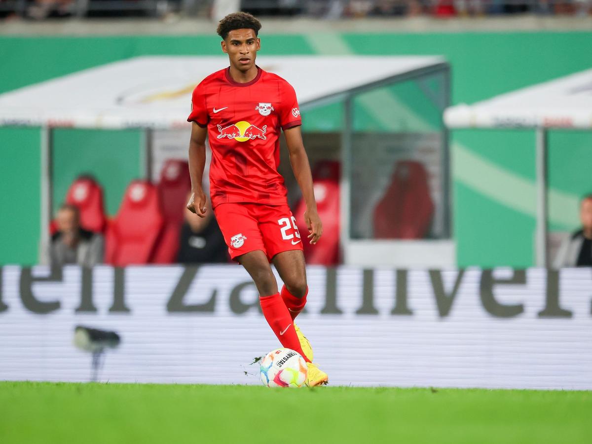 Bekommt bei RB Leipzig einen Profivertrag: Sanoussy Ba