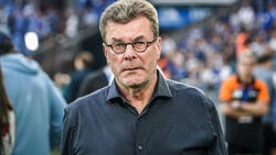 Dieter Hecking wird neuer Trainer des VfL Bochum